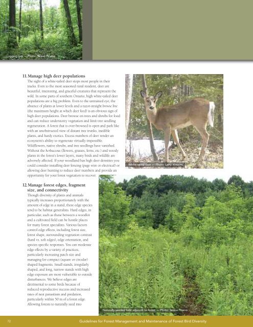 A land manager's guide to conserving habitat for forest birds in ...