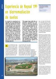 Experiencia de Repsol YPF en biorremediaciÃ³n de suelos - Consejo ...