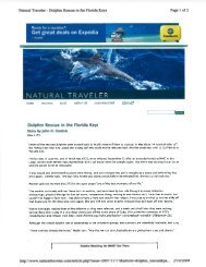 Dolphin Rescue in the Florida Keys - National Marine Sanctuaries