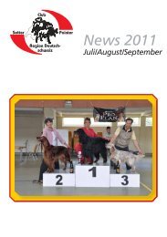 News 2011 - Setter und Pointer  Club Schweiz