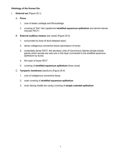Histology of the Human Ear I. External ear (Figure ... - Faculty.rmc.edu