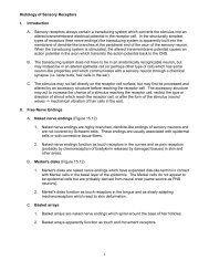 Histology of Sensory Receptors I. Introduction A ... - Faculty.rmc.edu