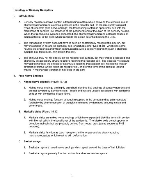 Histology of Sensory Receptors I. Introduction A ... - Faculty.rmc.edu