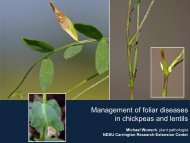 Management of foliar diseases in chickpeas and lentils