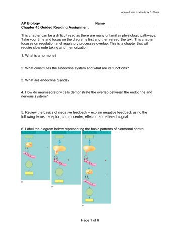 Guided Reading - WEB . WHRSD . ORG