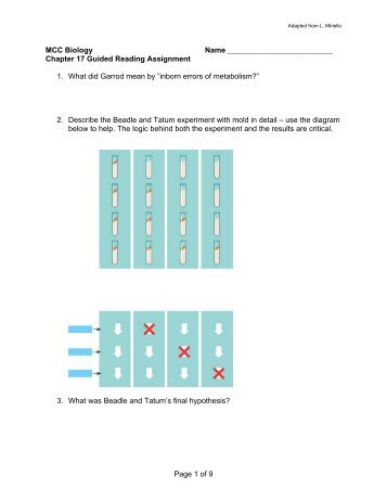 Page 1 of 9 MCC Biology Name Chapter 17 Guided Reading ...