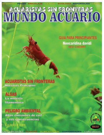 MUNDO ACUARIO