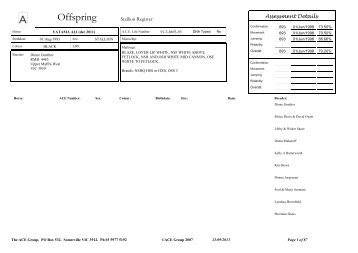 Stallion Register with Offspring - The Ace Group