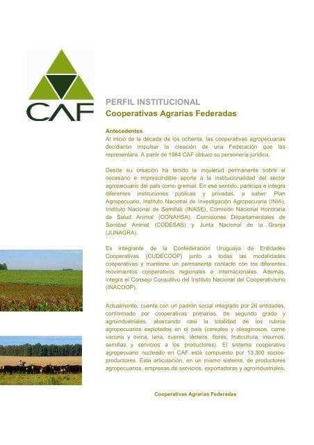 Documento (PDF - 236.6 KB) - Cooperativas Agrarias Federadas