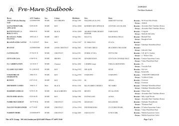 Pre-Mare Studbook - The Ace Group