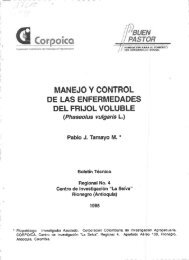 manejo y control de las enfermedades del frijol voluble - Corpoica