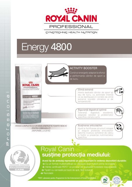 Energy 4800 - Royal Canin