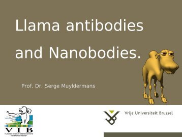 Llama antibodies and Nanobodies. - Vetcomunicaciones.com.ar