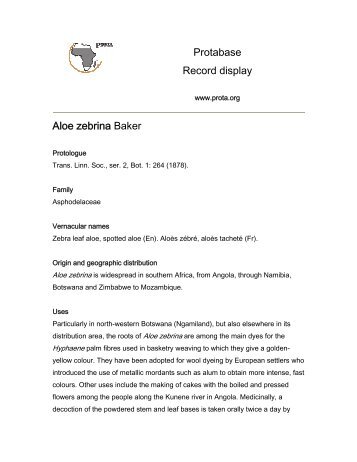 Protabase Record display Aloe zebrina Baker - prota4u