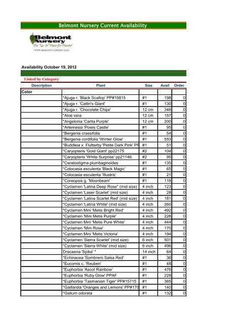 Belmont Nursery Current Availability