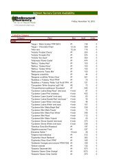 Belmont Nursery Current Availability