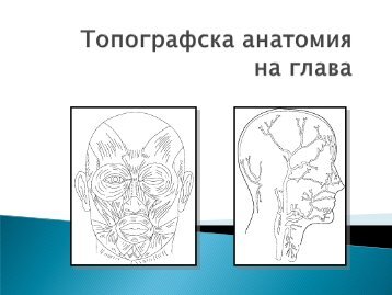 Ð¢Ð¾Ð¿Ð¾Ð³ÑÐ°ÑÐ¸Ñ Ð³Ð»Ð°Ð²Ð° Ð