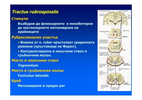 ÐÑÑÐ¸ÑÐ°