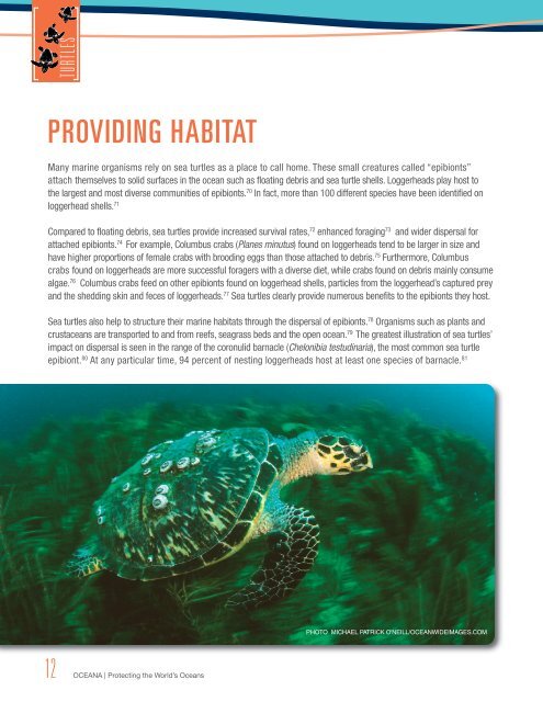 turtles-providing-habitat