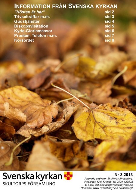 Infoblad 3 2013 A4 2 - Skultorps fÃ¶rsamling