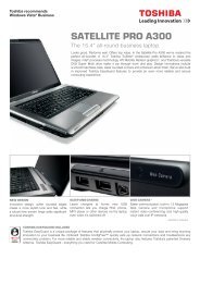 Écran De Rechange Pour Toshiba Satellite A100-386 - Occasion