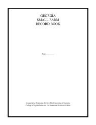 GEORGIA SMALL FARM RECORD BOOK - University of Georgia