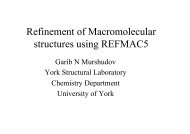 Refinement of Macromolecular structures using REFMAC5