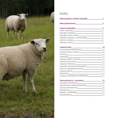 Tavoitteena terve ja hyvinvoiva lammas