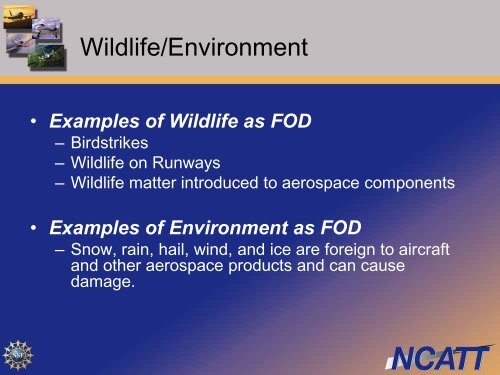 FOE - Elements of Basic Awareness - NCATT