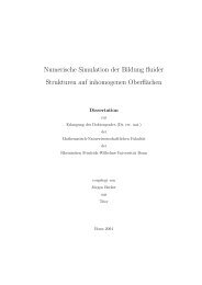 Numerische Simulation der Bildung fluider Strukturen auf ...