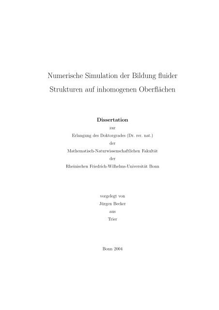 Numerische Simulation der Bildung fluider Strukturen auf ...