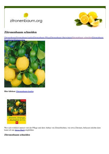 Zitronenbaum schneiden - Lost User Guide
