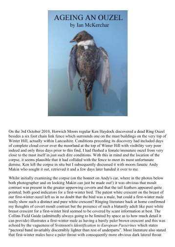 Ageing an ouzel (Ian McKerchar) (PDF) - the manchester birding ...