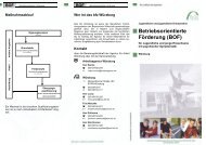 Betriebsorientierte Förderung (BOF) - Bfz