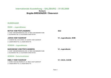 Internationale Ausstellung – SALZBURG – 01.06.2008