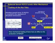 Reduced Serum FGF23 Levels After Mechanical Loading of the Rat ...