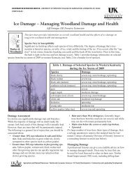 Ice Damage - Kentucky Division of Forestry