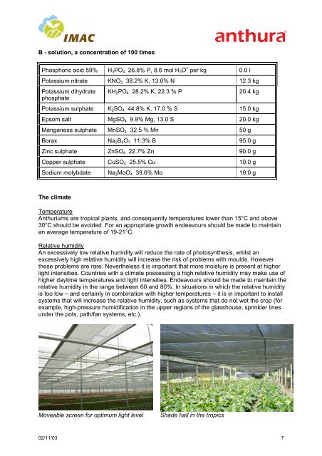 Pot Anthurium cultivation guidelines - Sprint Horticulture