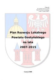 Plan Rozwoju Lokalnego Powiatu Gostyńskiego ... - Powiat Gostyński