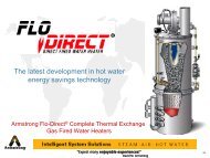 Complete Thermal Exchange Gas-Fired Water Heater Flo-Direct