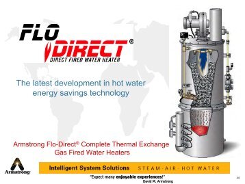 Complete Thermal Exchange Gas-Fired Water Heater Flo-Direct