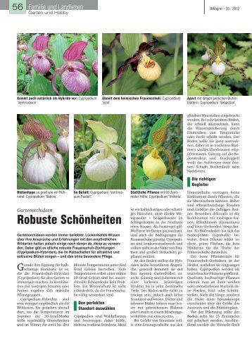 pdf-Datei anschauen - Cypripedium.de