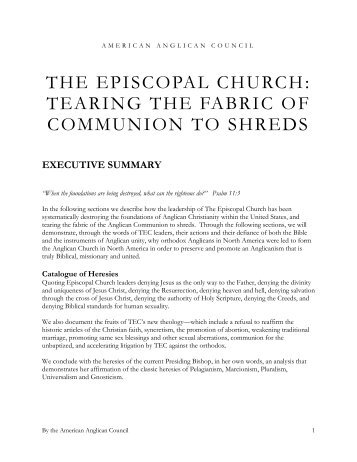 EXECUTIVE SUMMARY - American Anglican Council