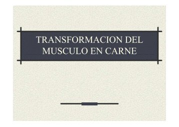 TRANSFORMACION DEL MUSCULO EN CARNE