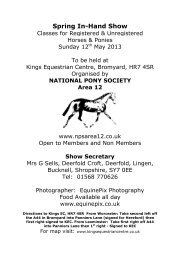 Spring In Hand Show â Sunday 12 - British Connemara Pony Society