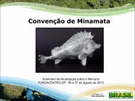 ConvenÃ§Ã£o de Minamata - Fundacentro