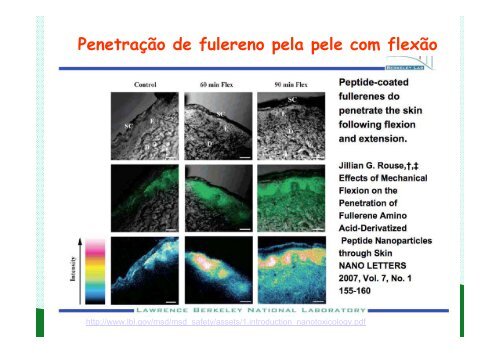 nanotecnologia e saÃºde Arline.pdf - Fundacentro