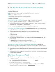 Cellular Respiration Webquest