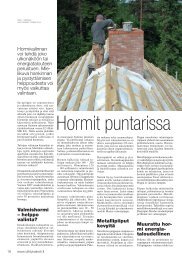 Hormit puntarissa