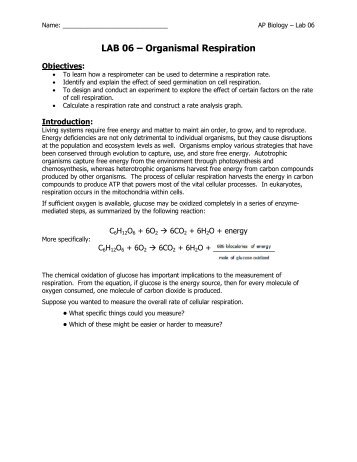 AP Lab 06 - Organismal Respiration